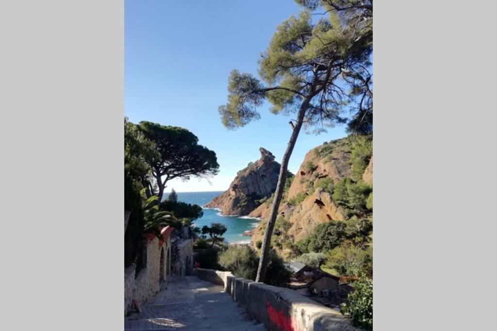 Le Repaire de la Cadière à 5mn des plages ! Saint-Cyr-sur-Mer Extérieur photo