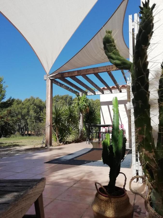 Le Repaire de la Cadière à 5mn des plages ! Saint-Cyr-sur-Mer Extérieur photo