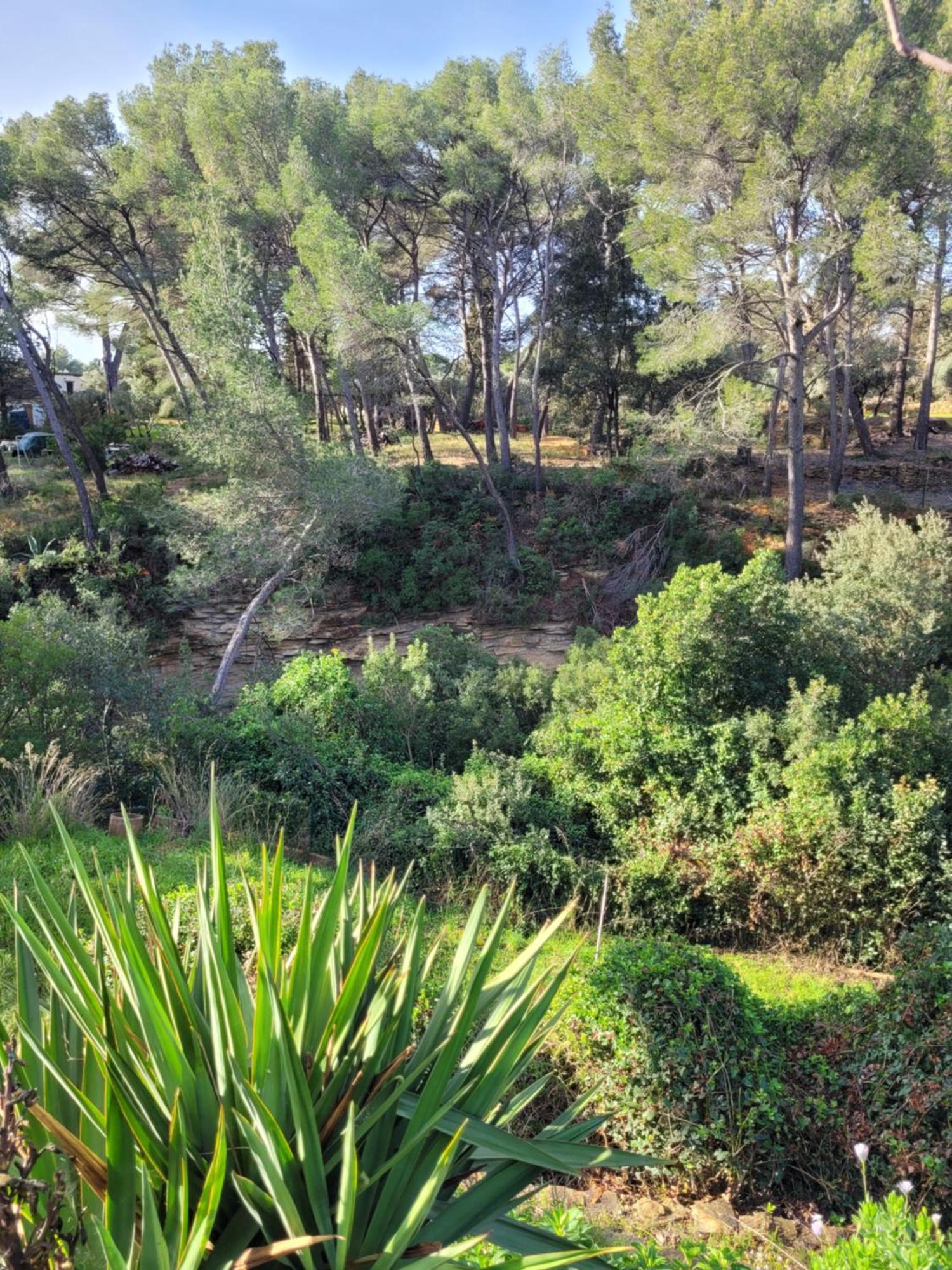 Le Repaire de la Cadière à 5mn des plages ! Saint-Cyr-sur-Mer Extérieur photo